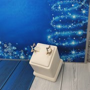 серьги . Оп-3070 3070